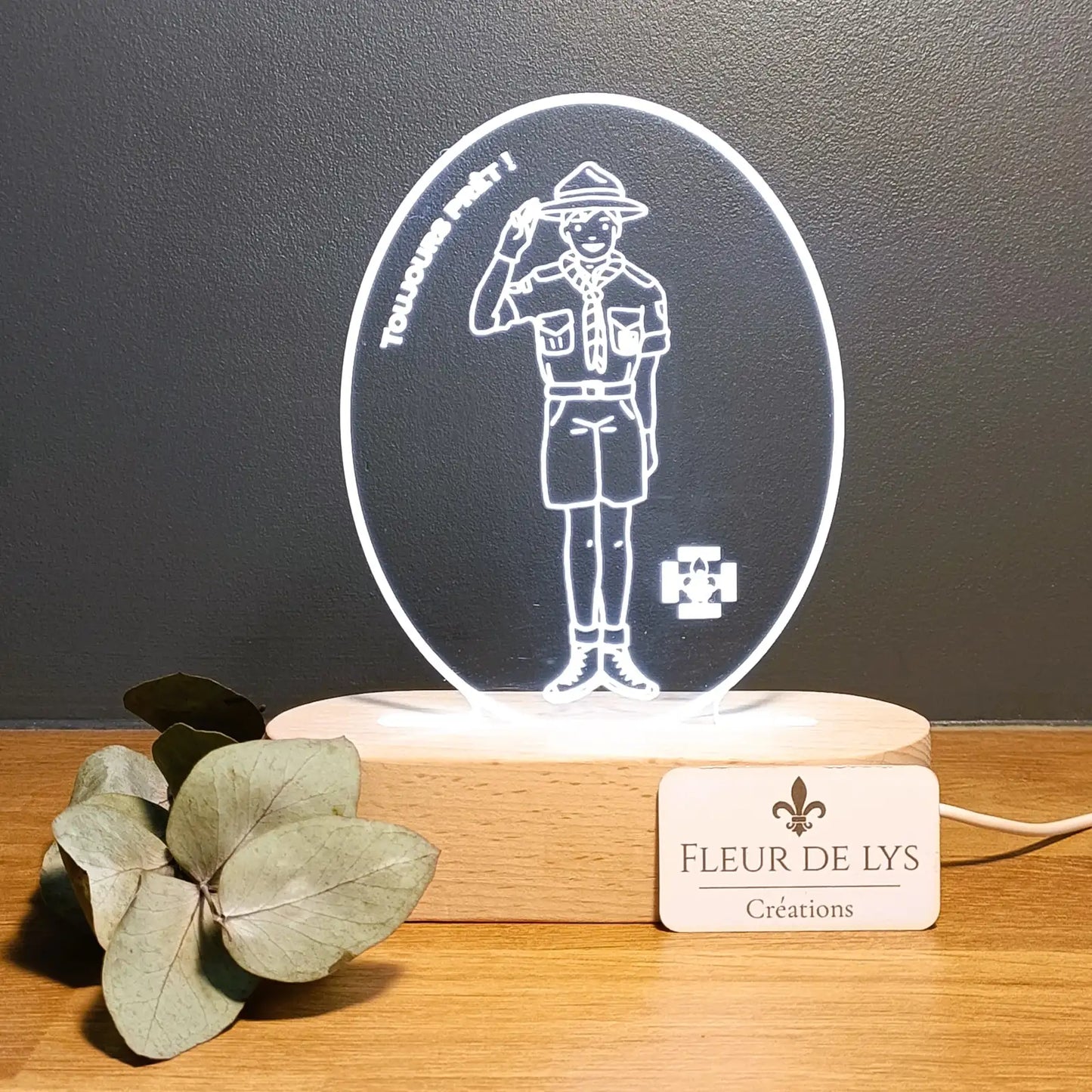 Plaque interchangeable pour lampe avec socle lumineux led